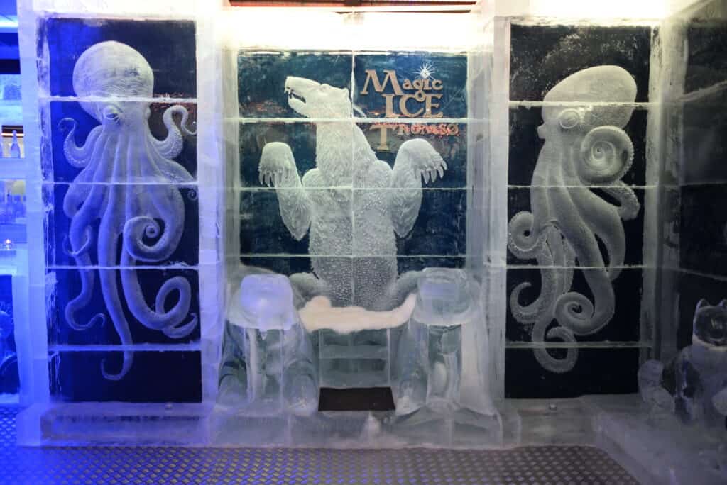 Entry to Magic Ice bar in Tromso, Norway. 